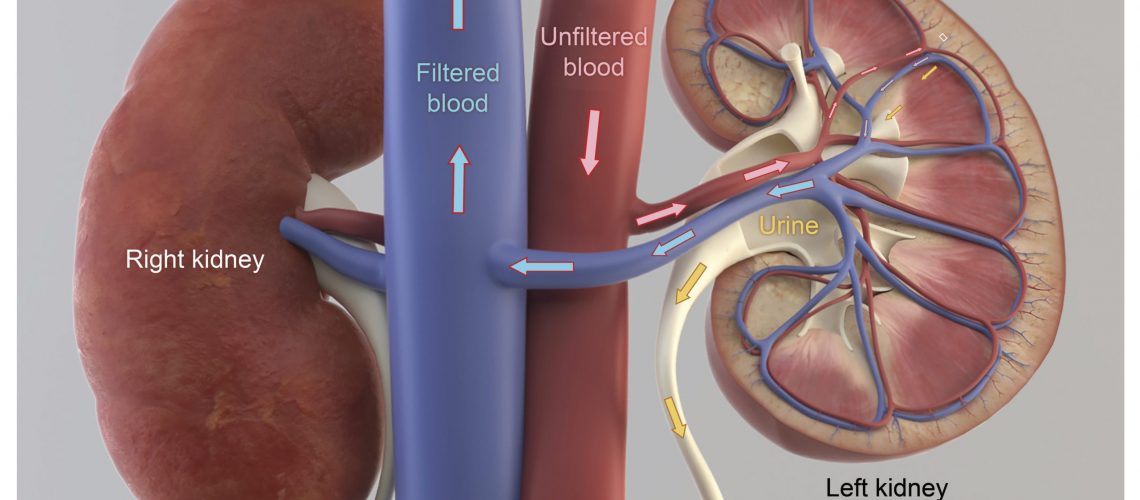 Cogent Legal Medical Litigation Graphics